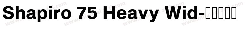 Shapiro 75 Heavy Wid字体转换